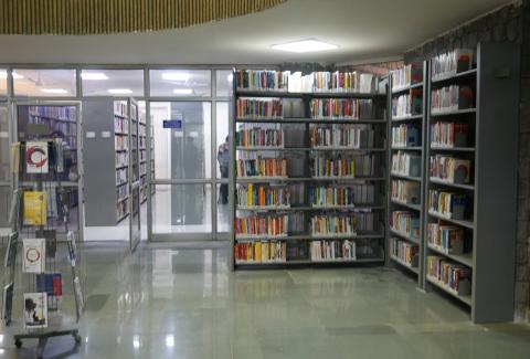 Library Book Shelves