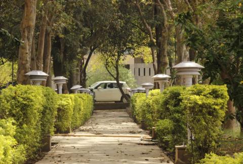 Photo of Garden