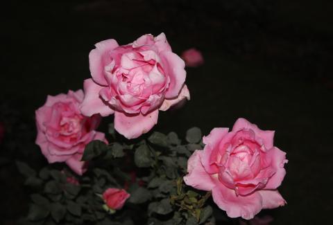 83